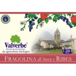 VALVERBE FRAGOLINE DI...