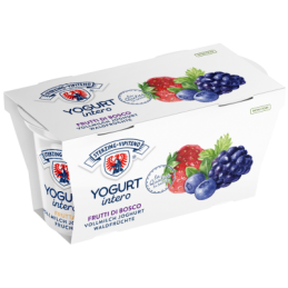 VIPITENO YOGURT FRUTTI DI...