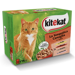 KITEKAT LA SIMPATICA...