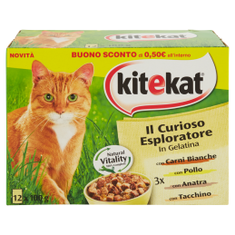 KITEKAT CURIOSO ESPLORATORE...