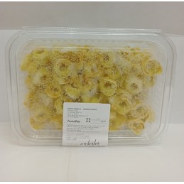 TORTELLINI GR 300