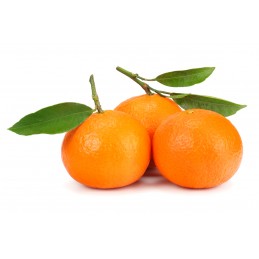 CLEMENTINE SU 3 KG