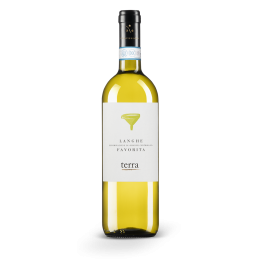 LANGHE FAVORITA 75 CL TERRA