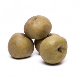 MELE RENETTE SCURE AL KG