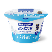 YOGURT GRECHI